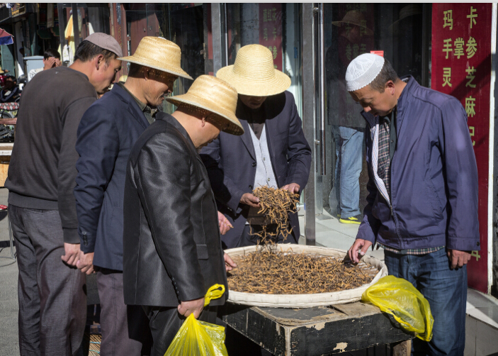 Tibetan Medicine