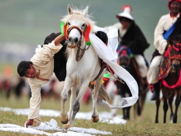 8 Days Nachu Horse Racing Festival Tour