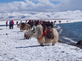 10 Days Lhasa-Tsedang-Gyangtse-Shigatse-Namtso Lake Tour