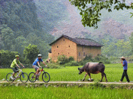 14 Days China Highlights with Yangtze Cruise